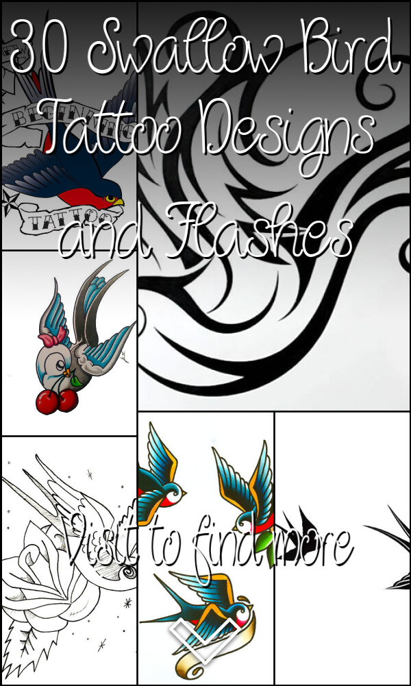 30 Swallow Bird Tattoo Designs and Flashes