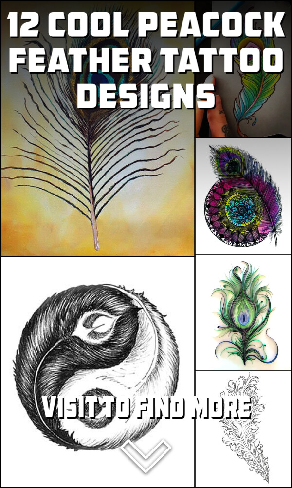 12 Cool Peacock Feather Tattoo Designs