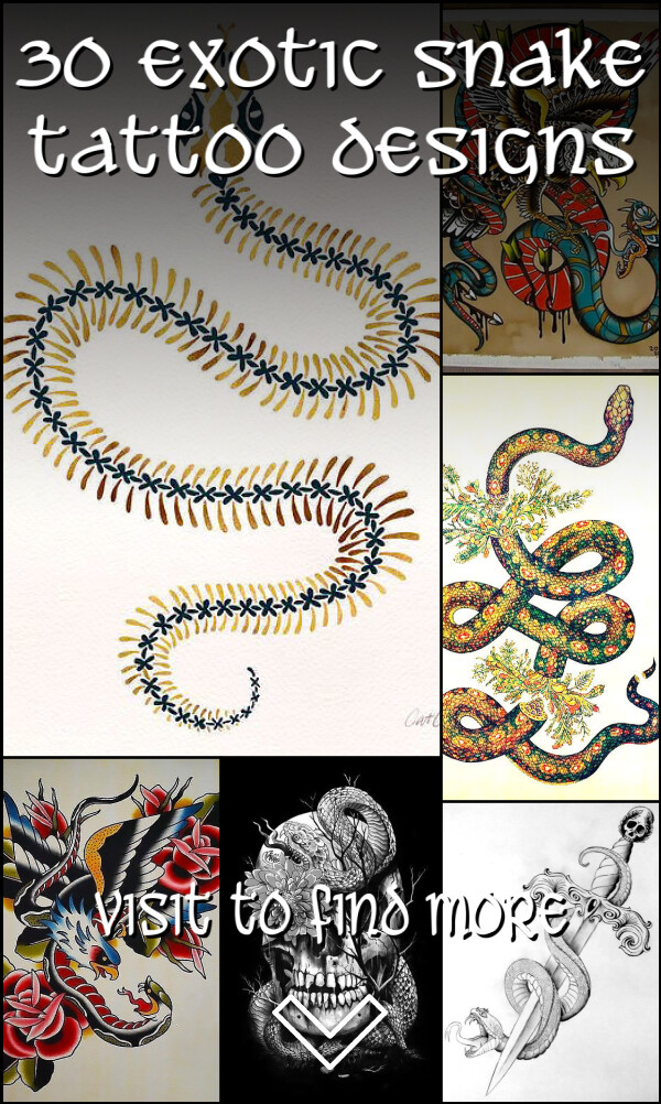 30 Exotic Snake Tattoo Designs