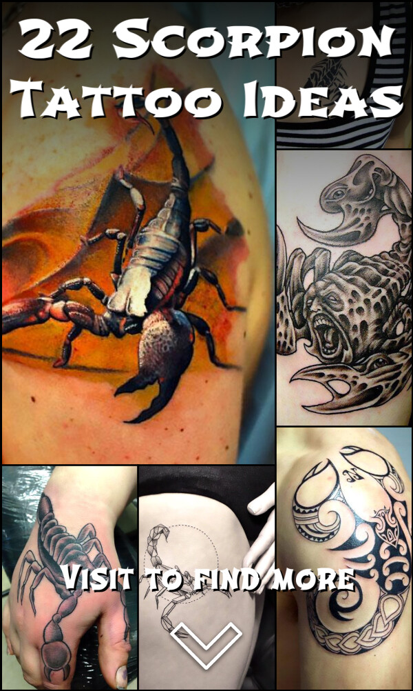 22 Scorpion Tattoo Ideas