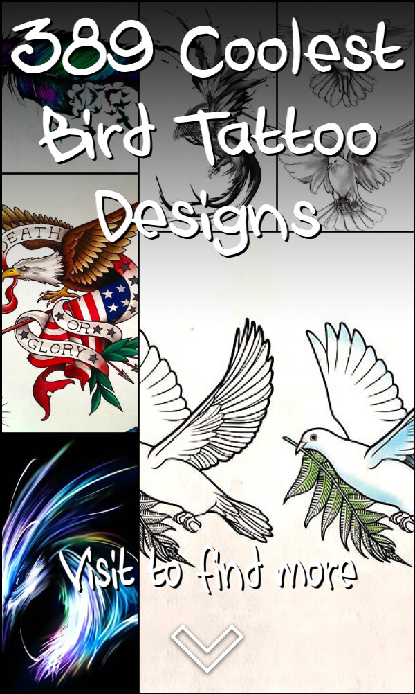 389 Coolest Bird Tattoo Designs