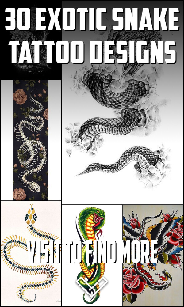 30 Exotic Snake Tattoo Designs