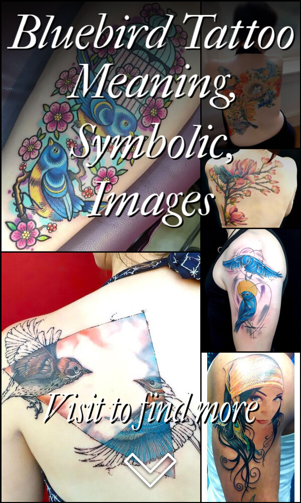 Bluebird Tattoo Meaning, Symbolic, Images