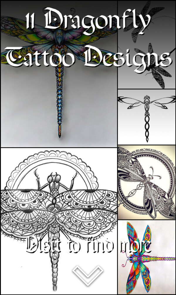 11 Dragonfly Tattoo Designs