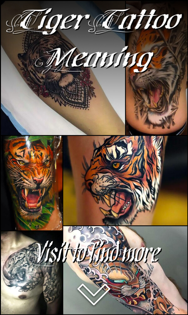 Tiger Tattoo Meaning