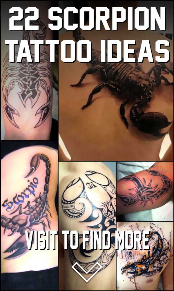 22 Scorpion Tattoo Ideas
