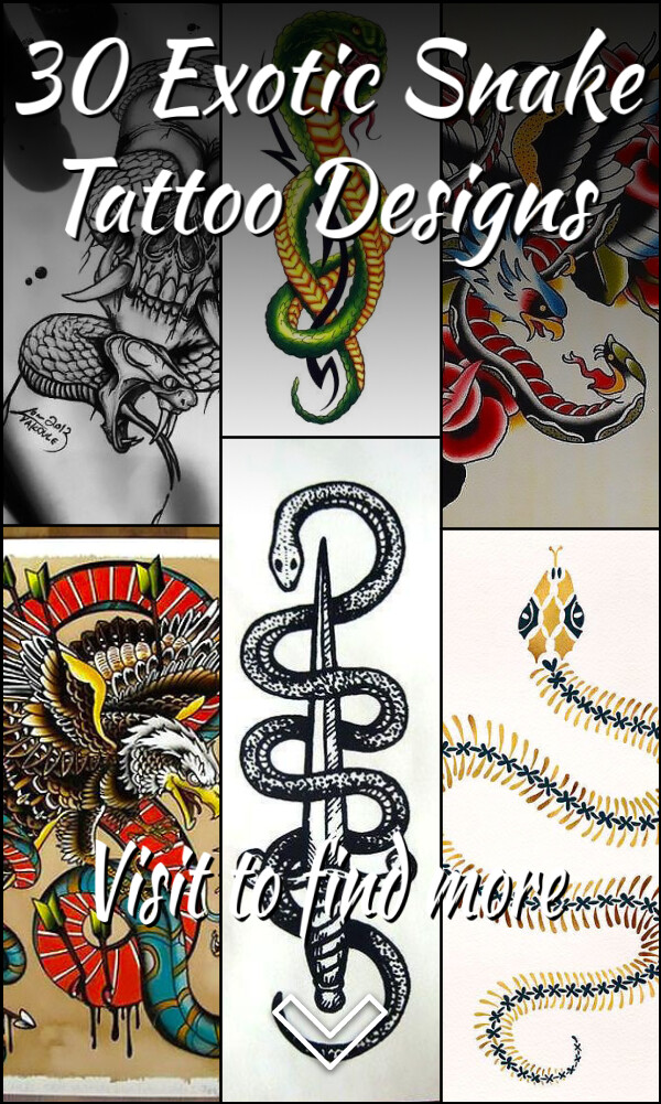 30 Exotic Snake Tattoo Designs