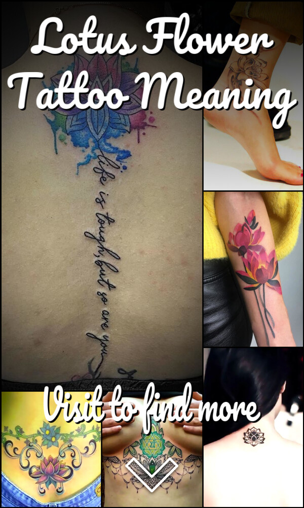 Lotus Flower Tattoo Meaning