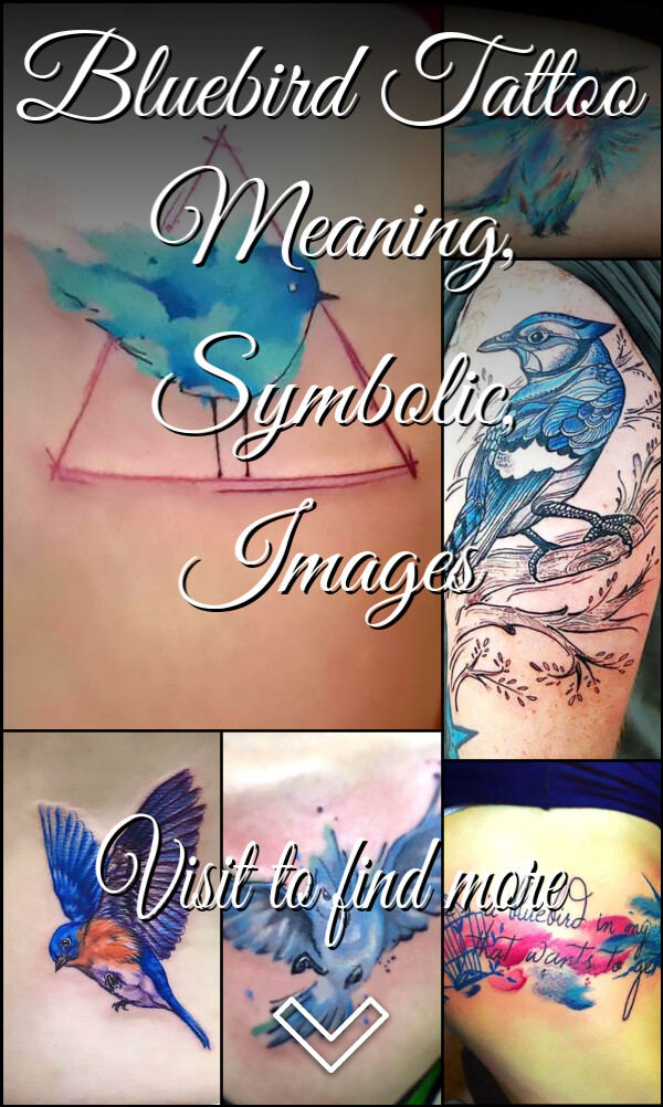 Bluebird Tattoo Meaning, Symbolic, Images