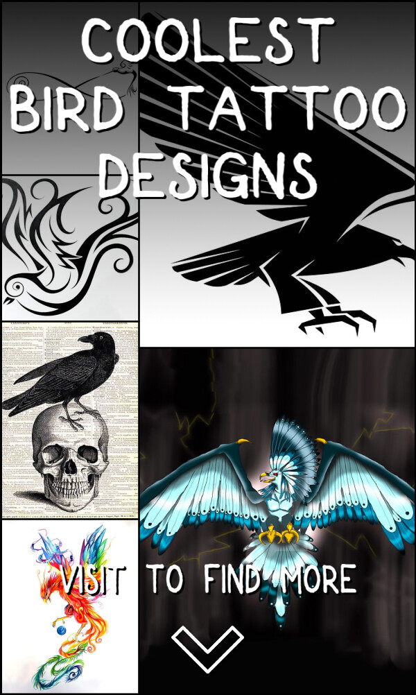 389 Coolest Bird Tattoo Designs