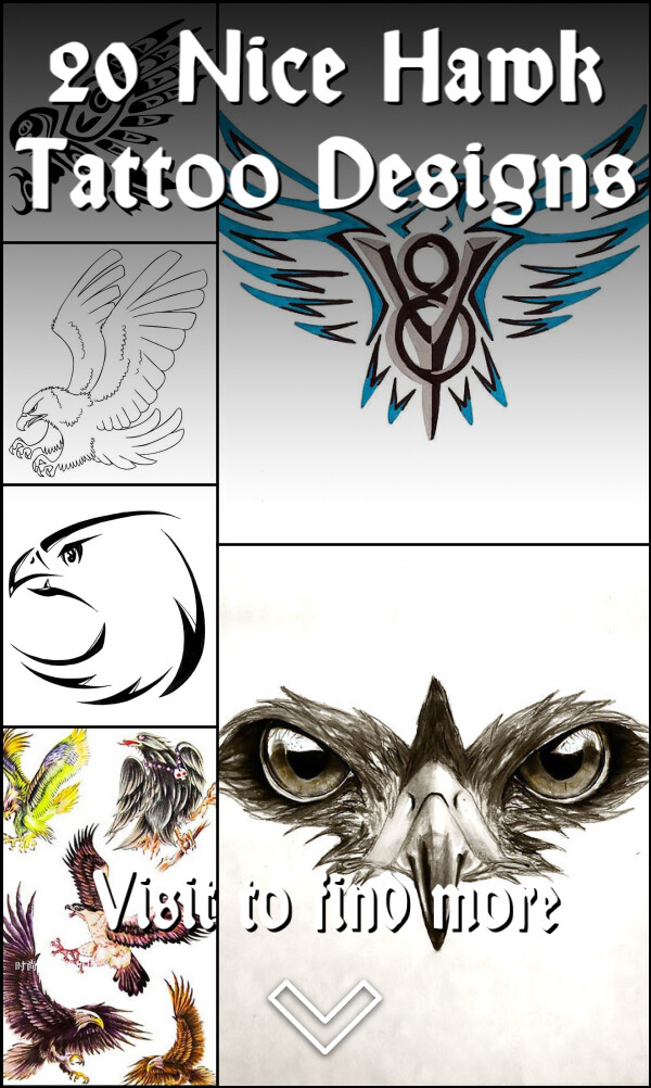 20 Nice Hawk Tattoo Designs