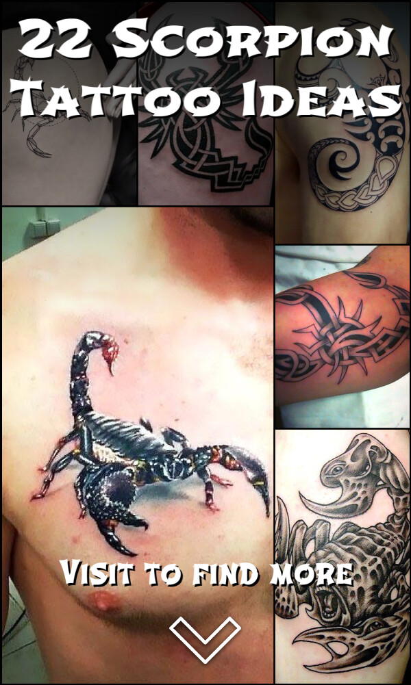 22 Scorpion Tattoo Ideas