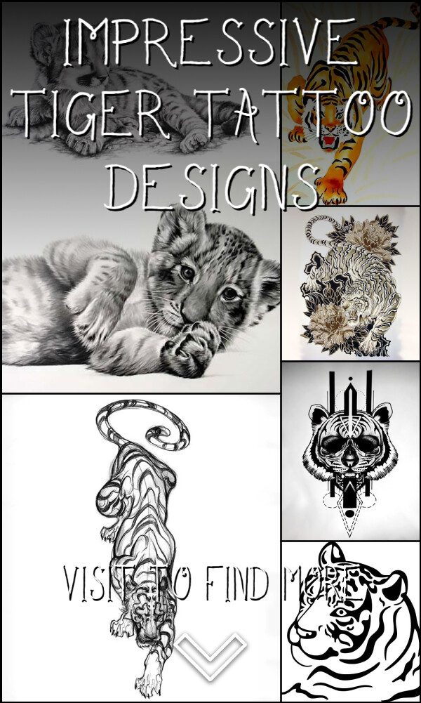 24 Impressive Tiger Tattoo Designs