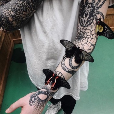 Snake In Spider Web Tattoo