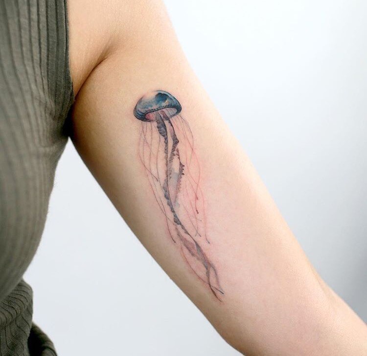 30 Images Of The BEST Jellyfish Tattoo Ideas You Will Love  Tats n Rings