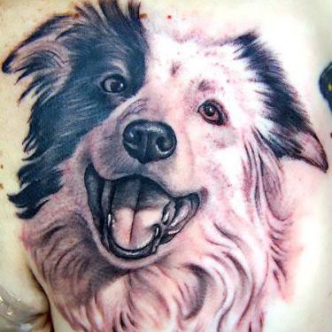 Border Collie Memorial Dog Tattoo