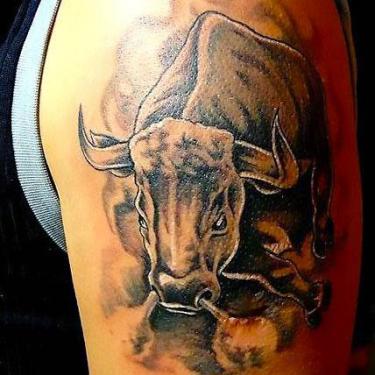Bull Tattoos Tattoo