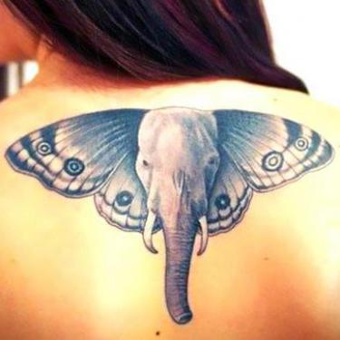 Butterfly Elephant Face Tattoo