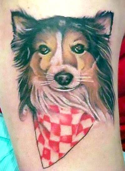 Collie Dog Potrait Tattoo Idea