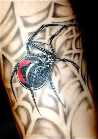 Cool Spider Web Tattoo Idea