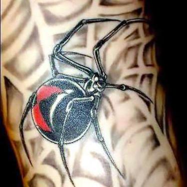 Cool Spider Web Tattoo