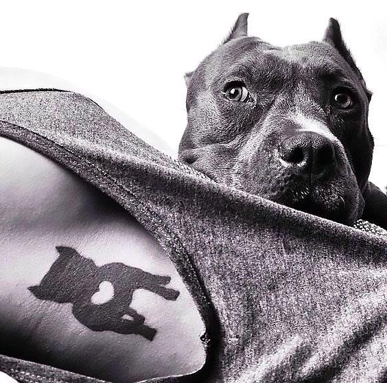 Pitbull Memorial Tattoo Idea