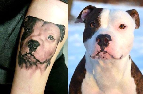 Pitbull Portrait Tattoo Idea