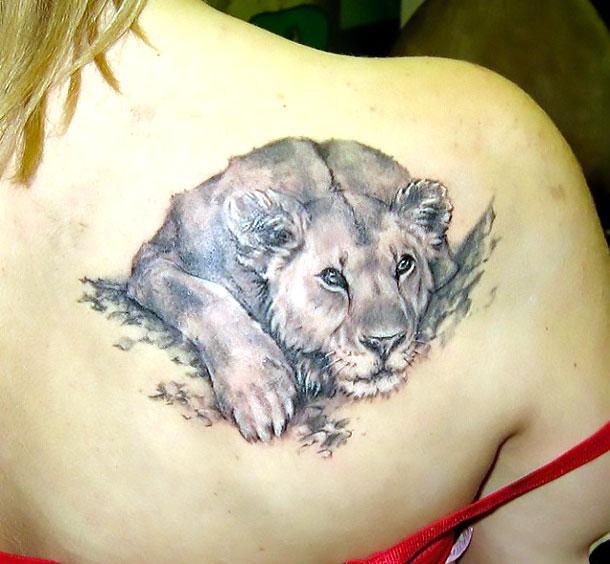 Cute Lioness on Shoulder Blade Tattoo Idea