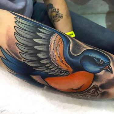 Amazing Bluebird on Forearm Tattoo