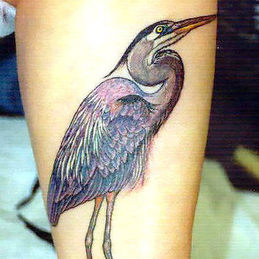 Heron on Shin Tattoo