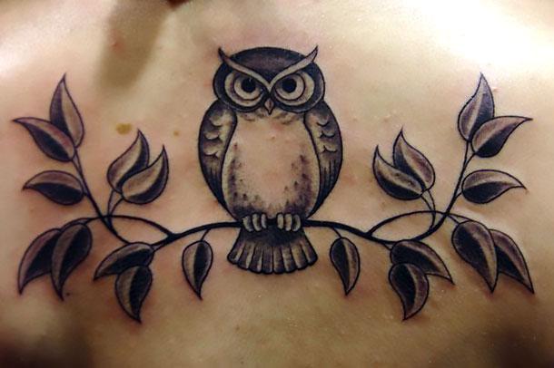 Arrogant Owl Tattoo Idea