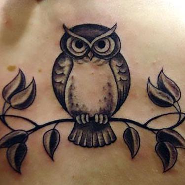 Arrogant Owl Tattoo