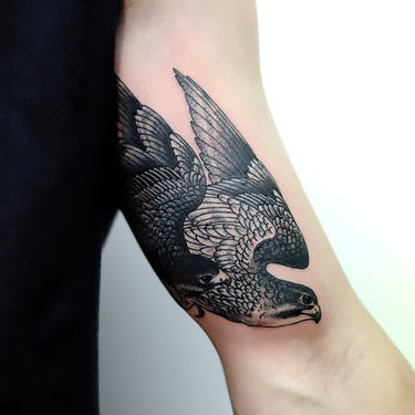 Male Hawk on Bicep Tattoo