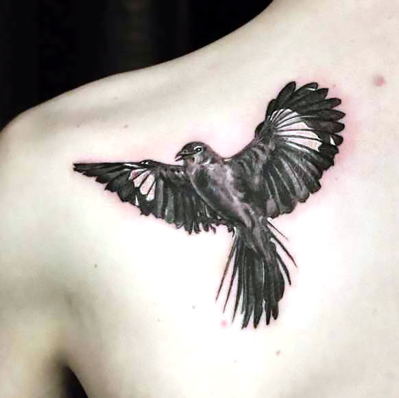 Mockingbird on Shoulder Blade Tattoo Idea