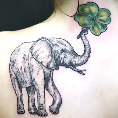 Elephant With Clover on Shoulder Blade Tattoo