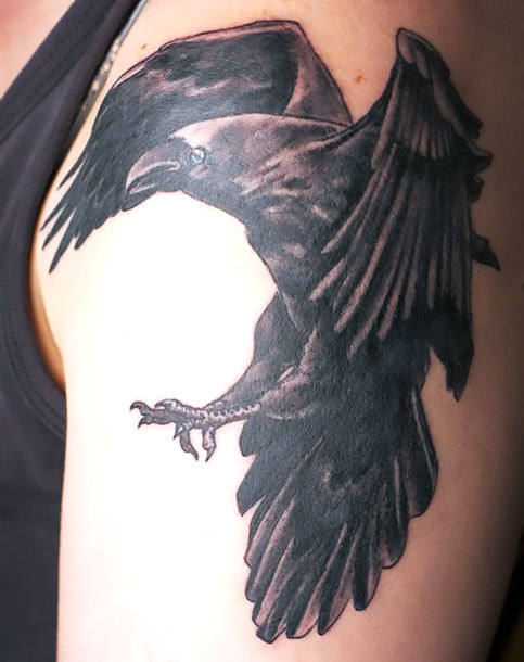 Nice Raven on Shoulder Tattoo Idea