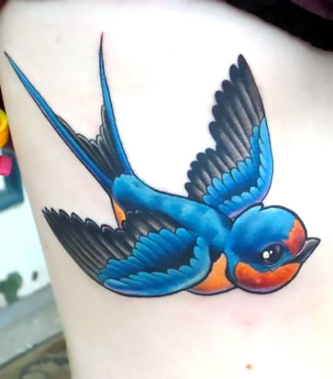 Nice Neo Traditional Bluebird Tattoo Idea