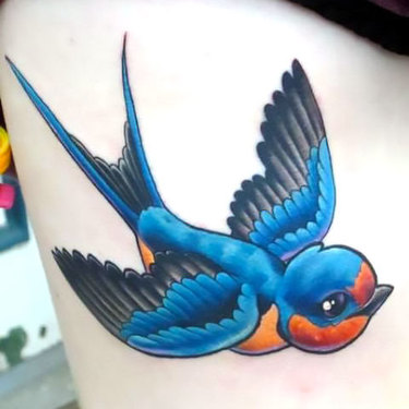 Nice Neo Traditional Bluebird Tattoo