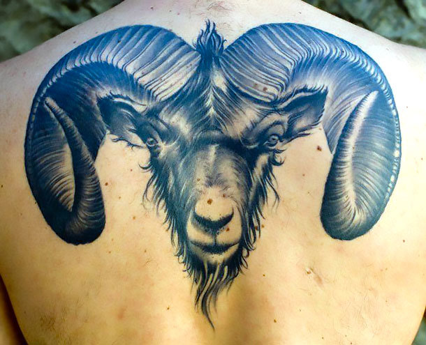 Realistic Ram Tattoo Idea