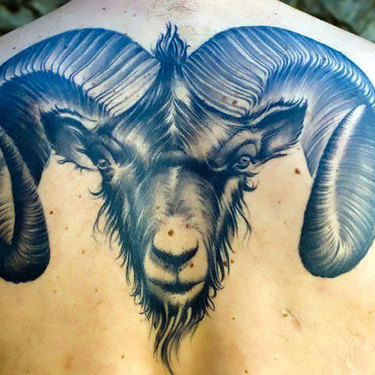 Realistic Ram Tattoo