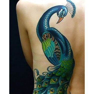 Peacock for Woman Tattoo