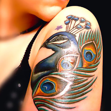 Peacock on Shoulder Tattoo