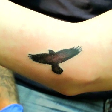 Small Eagle Tattoo Tattoo