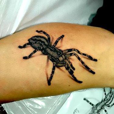 3D Spider Tarantula Tattoo