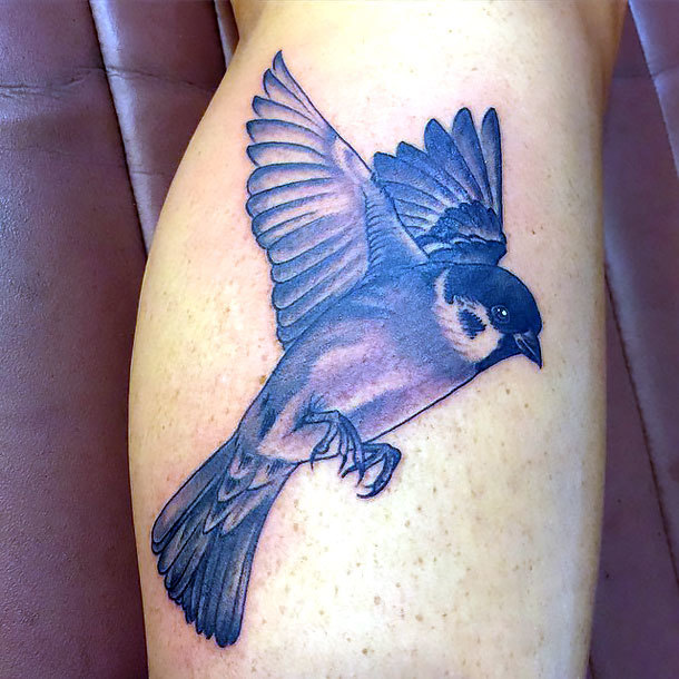 Sparrow Tattoo Idea