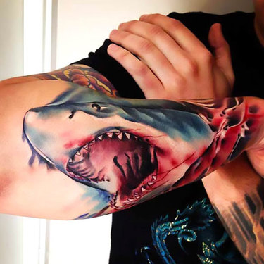 Shark on Outer Forearm Tattoo