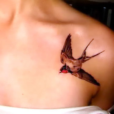 Sexy Swallow on Collar Bone Tattoo