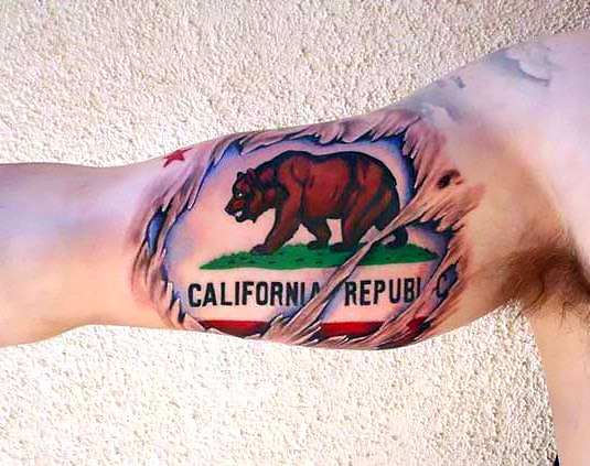 California tribute tattoo done by Colton at Chapter One Tattoo in San  Diego. : r/tattoos
