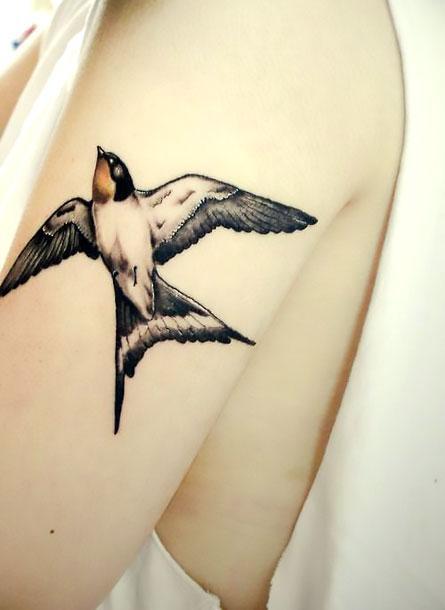 Beautiful Swallow Tattoo Idea