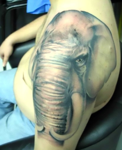 Elephant Face Tattoo Idea